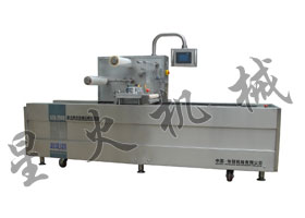 DZQ-210HL系列盒式真空气调自动包装机